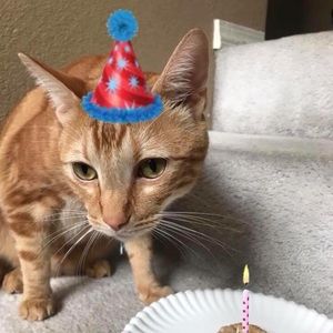 Meet your Posher, Kate